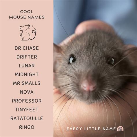 Witchy mouse names